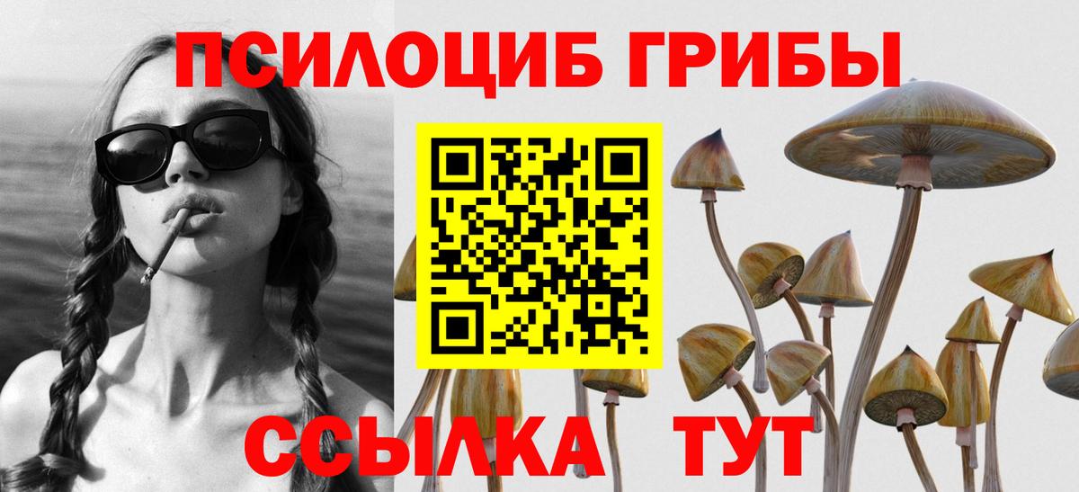Галлюциногенные грибы Cubensis Азнакаево